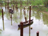 最文藝的郊野公園就藏在黃浦江畔