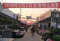 “翻版”曹家渡花鳥市場也即將關門，市民紛紛前去淘寶
