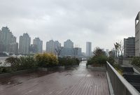 老外灘親水平臺延伸了！元旦起，市民可沿親水平臺從外白渡橋步行到老碼頭