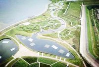 前兩月50城市土地收入近6000億元 同比漲幅超6成