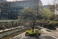 上海這個區6位委辦局負責人來到這家世界500強，竟被停車難“問倒”？