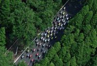 崇明將呈現持續9個月的“體育盛宴”，去田間地頭活動筋骨感受體育魅力吧！