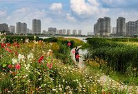 戲一起聽、展一起看、街一起逛，嘉定和周邊城市上演“雙城記”