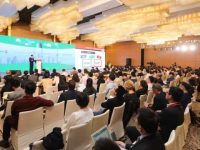 “搶人大戰”蔓延到金融領域，浦東未來將推五大舉措吸引全球人才