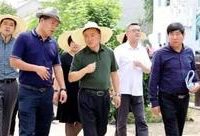 浦東｜翁祖亮：把調研會變成現場會，把難題變課題