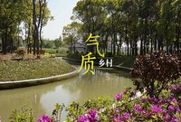尋找氣質鄉村 | 寶山塘灣村：散發著樸樹《白樺林》氣息，能吸引年輕人來“治愈”嗎