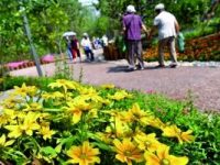 北京城市總規落地 鬧市“擠”出公園 北京城市總規落地 鬧市“擠”出公園