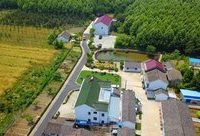 鄉村、老人與田：上海郊外的一片“世外桃源”