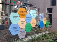 上海打造光芯片策源地，硅光子市級重大專項具備流片能力
