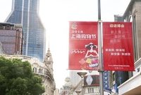 盤點史上歷時最長的上海購物節,銷售增幅最高的單品還是它 盤點史上歷時最長的上海購物節,銷售增幅最高的單品還是它