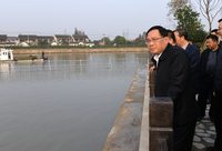 上海市總河長李強今巡河：水環境實現根本性好轉要出這些硬實招