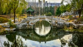古樹、古橋、古建筑上有什么“密碼”？在上海閔行，這些人正用鏡頭留住“江南記憶”