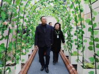 中以（上海）創新港全力推進建設，以色列相關負責人多次踏勘并愿意支持建設