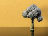 大疆無人機因貪腐損失十億？創業公司高調反腐正當其時