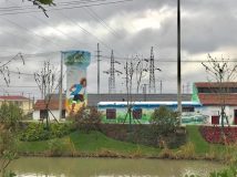 建鎮十年，崇明新海從“寂寞沙洲”變“宜居熱土”