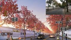 中以創新園加緊建設，桃浦地區環境品質整體提升