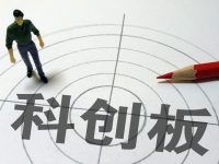 上海企業聯手上海券商，如何拿下科創板1號受理批文