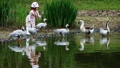 上海這個區人均期望壽命超85歲，好想知道他們是吃什么長大的