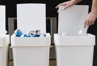 上海垃圾分類新規:飯店不得主動提供一次性餐具!他們提前“亮妙招” 上海垃圾分類新規:飯店不得主動提供一次性餐具!他們提前“亮妙招”