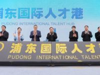 浦東國際人才港開港，率先推出外國人來華工作“一網通辦”服務平臺