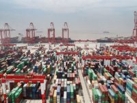 寧波舟山港與上海港如何錯位發展？長三角“五市一區”政協委員在滬還討論了這些