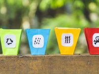 800多位滬人大代表談垃圾分類：這件事深入人心，體現了上海市民的高素質