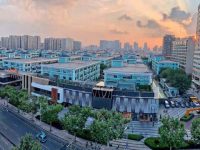 上海這個鎮樓宇稅源穩穩，逆勢上揚！背后有一批淳樸的“本地人”在忙碌