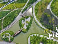 這里的保留老廠房引進最新國家級產業項目，周邊還有上海市中心最大綠地