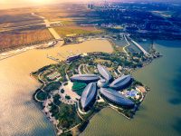 臨港外國人才創新政策正式公布，新片區將打造成外國人才試驗區