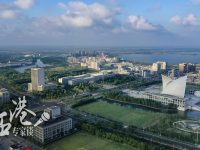 權衡：深圳和浦東都聚焦制造業，但臨港有更與眾不同的地方