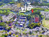 這個地區的環境空氣質量優良率4年增長近10%，居民感受度明顯提升