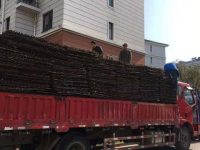 松江小昆山鎮二期老舊小區綜合改造項目啟動，百余戶居民將于明年春節前搬入“新家”