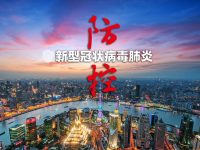 海陸空全線作戰，上海國際物流商會廣泛發動投身疫情防控