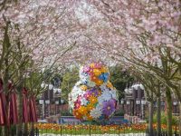 上海迪士尼門票今天8點起重新開售，特別提醒：可購買半日票，取消現場售票