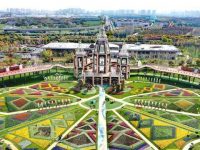 農村垃圾堆場變花卉種植園，環境美了還能賺錢，這個模式要在上海最大的區推廣