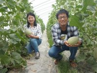 大學畢業四年后，他辭了大家眼里的好工作，帶上太太干農業