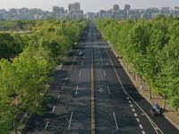 城市道路養護“常養常新”，在上海花木地區試點，老百姓有福了