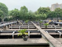 首次開放！上海百年污水處理廠變身“活體博物館”，英國人曾在此試驗最新技術