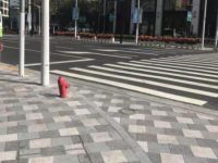 上海今年已有31條精品示范路開工建設,且看它們如何內煉品質、外修顏值 上海今年已有31條精品示范路開工建設,且看它們如何內煉品質、外修顏值