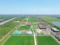 全市首個鄉村振興“點狀供地”項目結構封頂，未來將成鄉村酒店新標桿
