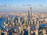 上海市政府常務會研究規范重大行政決策程序，進一步提高決策質量和效率