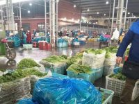 “原地過年”的人多了，上海菜籃子供應怎么實現“不斷檔”“不斷人”？