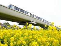 今天起滬渝穗軌交乘車碼互聯互通，“Metro大都會”覆蓋15城
