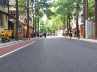 今天，上海“最浪漫”馬路改造大修后正式竣工