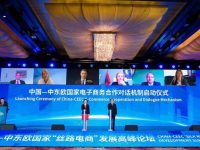 “一帶一路”經貿合作中活躍程度高、發展潛力大的新引擎原來是它