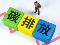又一全國性市場在上海開市，企業在此爭做“賣碳翁”