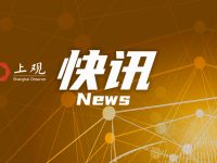 上海將于今年10月上線“租賃汽車車輛營運證核發”等17個事項改革措施