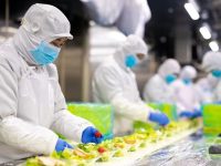 上海這個中央廚房剛剛服務了數百萬人用餐，現在又要為無錫學生供餐