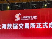 上海數據變資產“不怕摔”：電力數據賣銀行，揭產業鏈圖譜獲授信