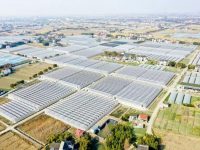 京東方等企業紛紛到上海郊區拿地種菜，在謀劃什么？